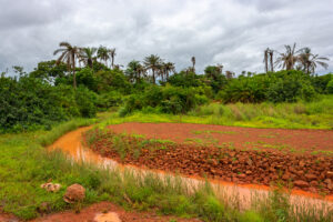 Severe environmental pollution due to uncontrolled mining of bauxite threatens marine life and local residents. Kamsar, Guinea.