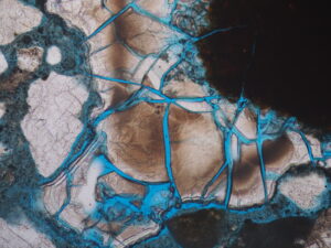 alkali-silica gel from a reactive fine aggregate particle